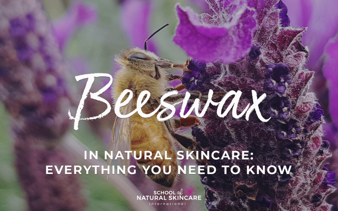 Beeswax in Natural Skincare: Everything You Need to Know